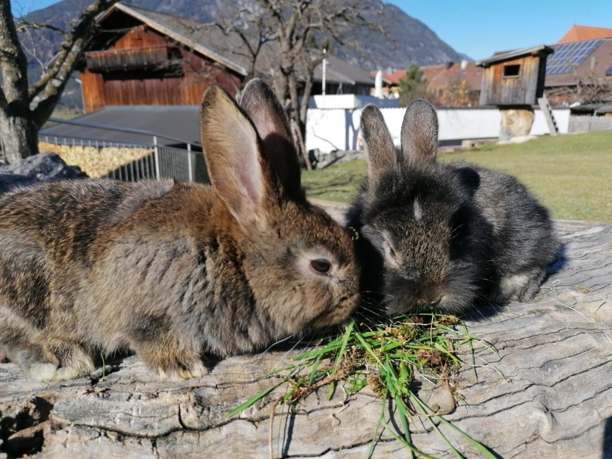 Kinderbauernhof Ierzerhof อาร์เซิล อิม พิทซ์ทาล ภายนอก รูปภาพ
